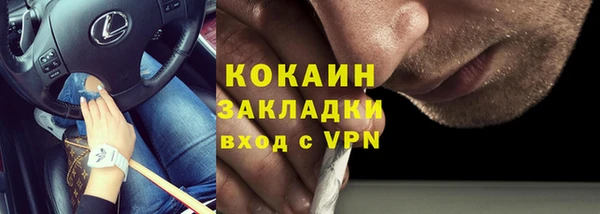 ПСИЛОЦИБИНОВЫЕ ГРИБЫ Алзамай