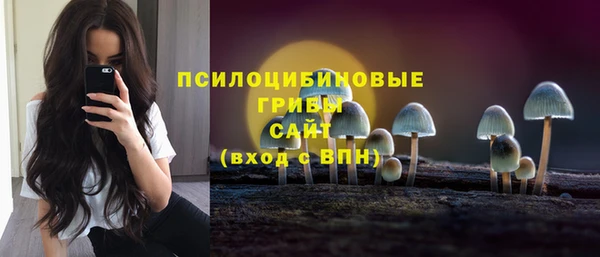 соль ск Алексин