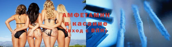 индика Белокуриха