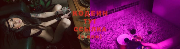 индика Баксан