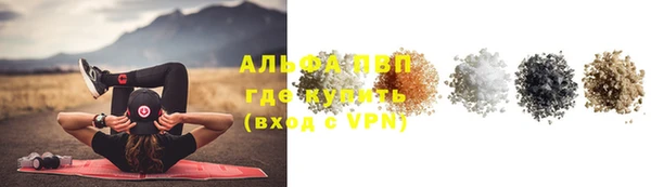 индика Баксан