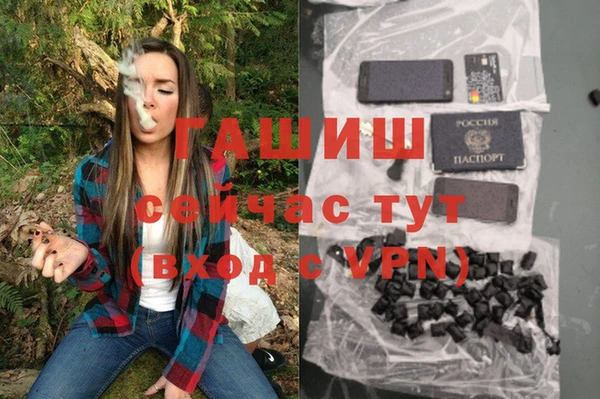 соль ск Алексин