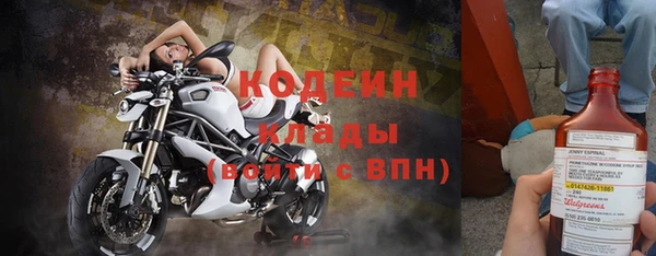 индика Белокуриха
